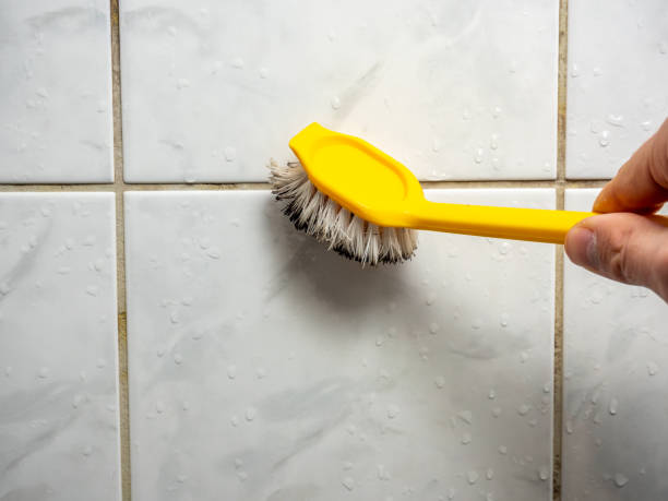 Best Black Mold Removal  in Hilliard, FL