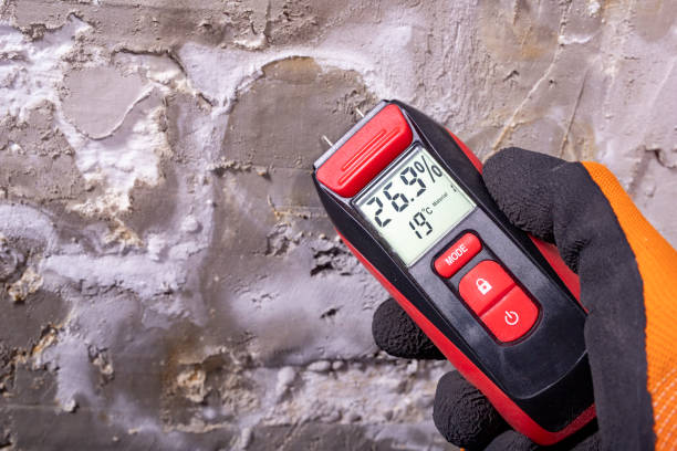 Mold Testing and Removal in Hilliard, FL