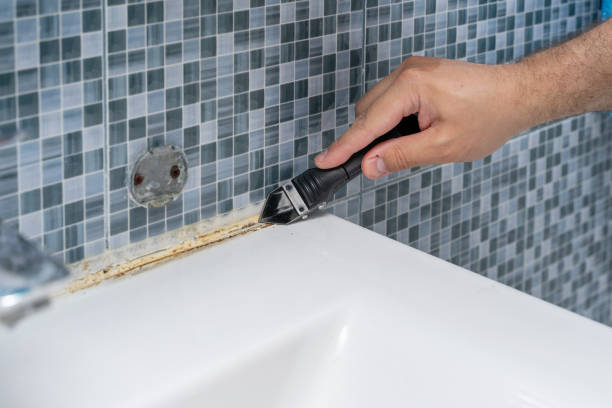 Best Commercial Mold Removal  in Hilliard, FL