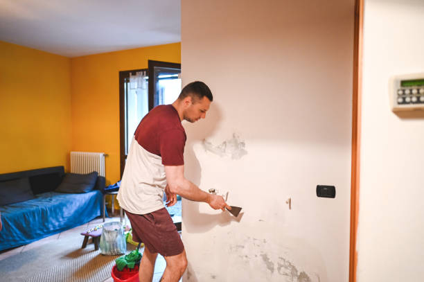 Best Attic Mold Removal  in Hilliard, FL